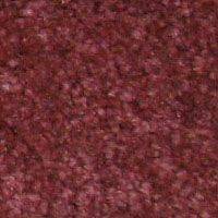 Ковролин Hidden Treasure Beaulie of America Rosewood 34 фото  | FLOORDEALER
