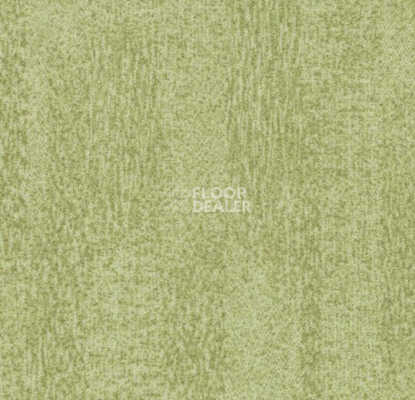 Ковролин Forbo Flotex Colour s 482006 Penang Sage фото 1 | FLOORDEALER