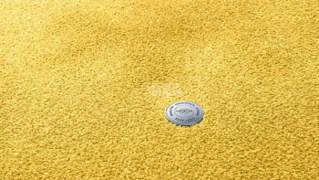 Ковролин Vorwerk Superior 1064/Lyrica Vorwerk 2f35 фото 1 | FLOORDEALER