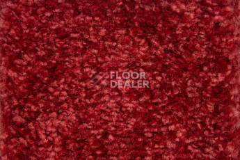 Balsan Sweet Dreams 560 фото 2 | FLOORDEALER