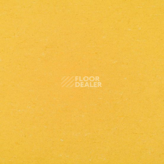 Линолеум Gerflor Colorette 0001 Banana Yellow фото 1 | FLOORDEALER