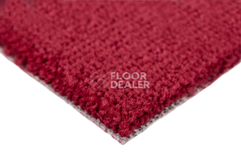 Balsan Les Best S 585 фото 4 | FLOORDEALER