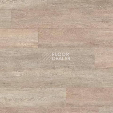 Кварцвиниловые полы Gerflor Creation 55 Looselay 0441_Honey_Oak фото 1 | FLOORDEALER
