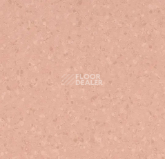 Линолеум Forbo Sphera Element 50073 peach фото 1 | FLOORDEALER