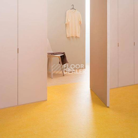 Forbo Marmoleum Modular t3251 lemon zest фото 3 | FLOORDEALER