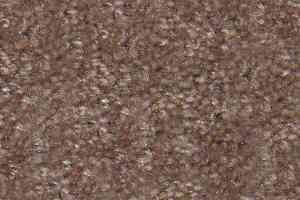 Ковролин Hidden Treasure Beaulie of America Rich Taupe 05 фото  | FLOORDEALER