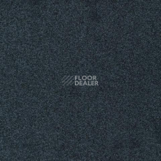 Ковролин Gleam W2W 569 Gleam w2w фото 1 | FLOORDEALER