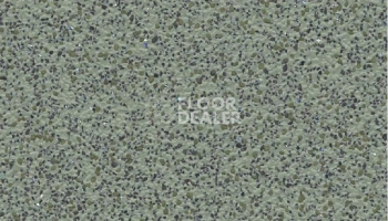 Линолеум Polyflor Polysafe Apex 4201 фото 1 | FLOORDEALER