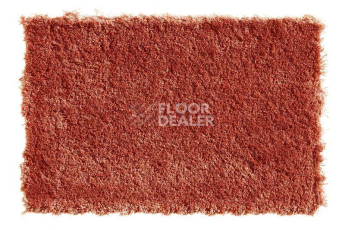 Ковролин Balta Wild Luxury Teddy 65 фото 1 | FLOORDEALER