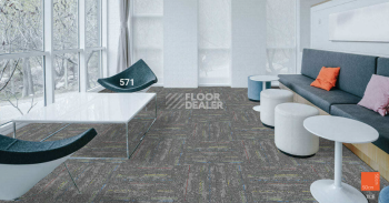 Standard Carpets LAX 571 фото 2 | FLOORDEALER