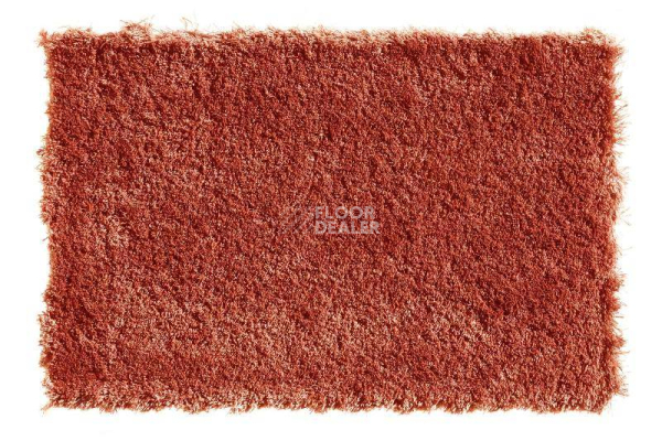 Ковролин Balta Wild Luxury Teddy 65 фото 1 | FLOORDEALER