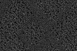 Ковролин Balsan Riziere 960 фото  | FLOORDEALER