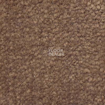 Ковролин Emphatic Beaulieu of America 56595 фото 1 | FLOORDEALER
