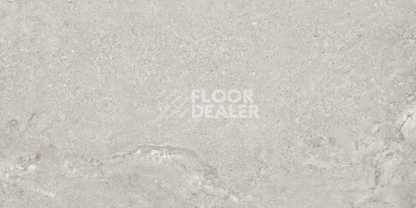 Керамогранит Elba 60X120 Gris фото 1 | FLOORDEALER
