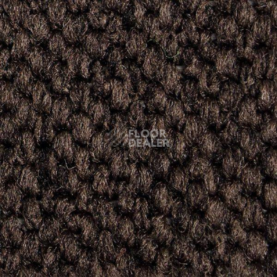 Ковролин Carpet Concept Eco Cut 54577 фото 1 | FLOORDEALER
