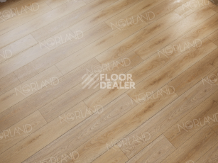 Norland Sigrid  LVT 2мм Mirto 1003-19 фото 2 | FLOORDEALER