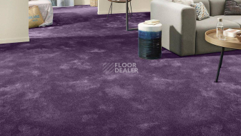 Vorwerk Superior 1064/Lyrica Vorwerk 3q62 фото 2 | FLOORDEALER