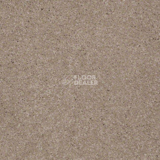 Ковролин Shaw Design Texture Platinum 701 фото 1 | FLOORDEALER