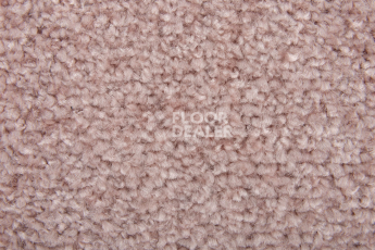 Balsan Ultrasoft Dalle 520 фото 2 | FLOORDEALER