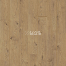 Kronotex Mammut d4152 Дуб Эверест Натуральный фото 5 | FLOORDEALER