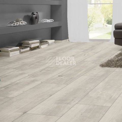 Kronotex Exquisit Plus d4787 Дуб Гала Белый фото 2 | FLOORDEALER