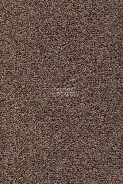 Ковролин AW Stainguard Harvest 40 фото 1 | FLOORDEALER