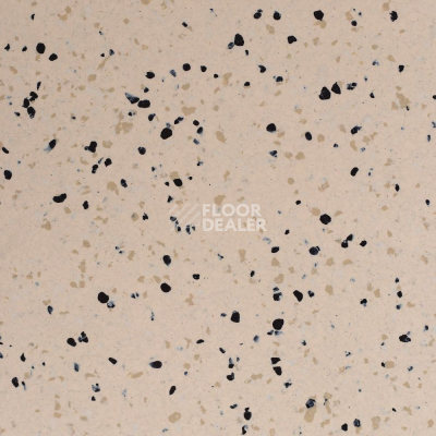 Линолеум DLV Flooring Standard Conductive 807 Sand фото 1 | FLOORDEALER