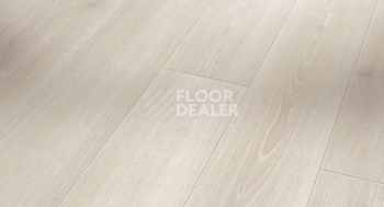 Ламинат Parador Classic 1050 4V 1601447 Дуб Скайлайн Белый фото 1 | FLOORDEALER