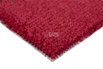 Balsan Les Best 585 фото 4 | FLOORDEALER