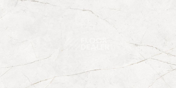 Nolana ( Нолана ) 60 x 120 x 10 NL00 фото 4 | FLOORDEALER