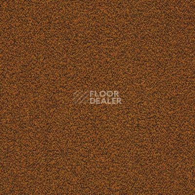 Ковровая плитка Interface X-Loop 5388 фото 1 | FLOORDEALER