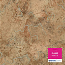 Линолеум Tarkett Грация NUBIA 3  | FLOORDEALER