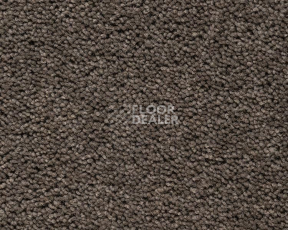 Ковролин Best Wool Pure Brunel b 70006 фото 1 | FLOORDEALER