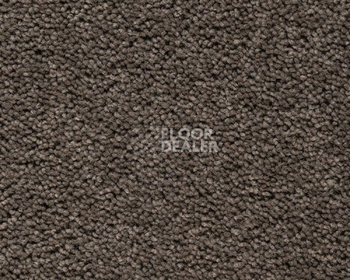 Ковролин Best Wool Pure Brunel b 70006 фото 1 | FLOORDEALER
