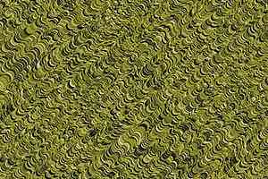 Ковровая плитка Ege Highline Contrast Wavy Shells Green rfm 52756536 фото  | FLOORDEALER