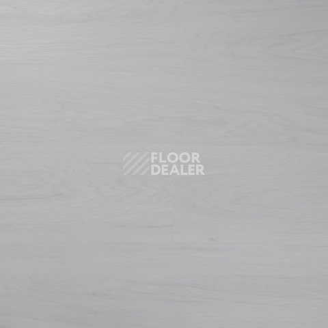 Evofloor Optima Click 4.2мм Дуб Арктический фото 4 | FLOORDEALER