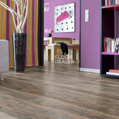 Kronotex Exquisit Plus d4981 Дуб Трейл фото 6 | FLOORDEALER