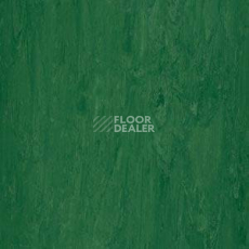 Линолеум Polyflor Xl Pu 3830 фото 1 | FLOORDEALER
