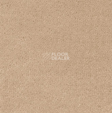 Ковролин Creatuft Sheba 1764 фото 1 | FLOORDEALER