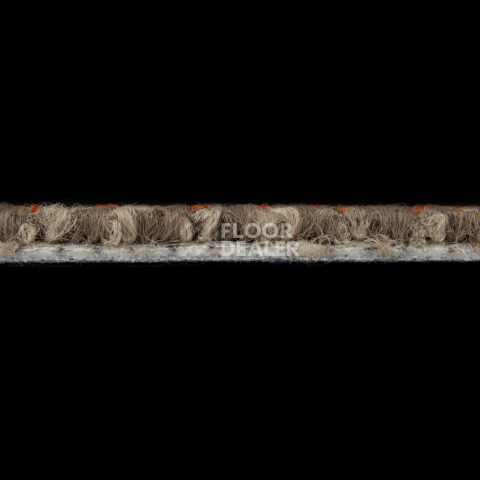 Neuflor Rocky 300306 + Rust фото 3 | FLOORDEALER