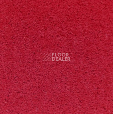 Ковролин Creatuft Ceres 3768 Ruby фото 1 | FLOORDEALER