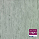 Линолеум Tarkett Standart Plus 923  | FLOORDEALER