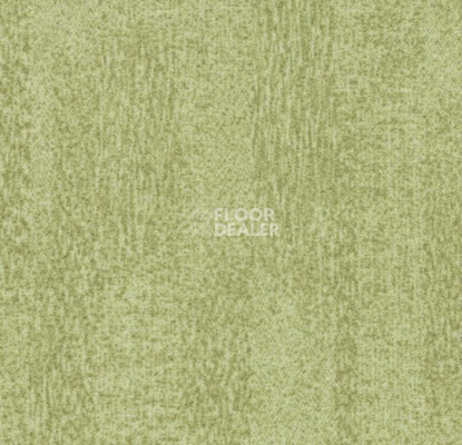 Ковровая плитка Forbo Flotex Colour Penang 50*50 t 382006 Penang Sage фото 1 | FLOORDEALER