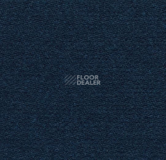 Ковролин Forbo Flotex wonderlab 07 900277 Indigo фото 1 | FLOORDEALER