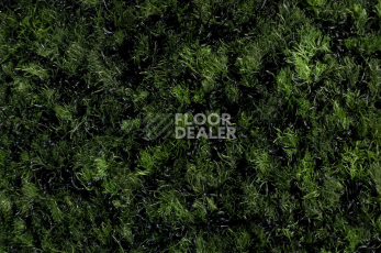 Forbo Coral Brush 5708 Avocado Green фото 2 | FLOORDEALER