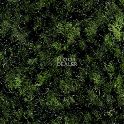 Forbo Coral Brush 5708 Avocado Green фото 2 | FLOORDEALER