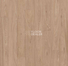 Линолеум Forbo Eternal Original 10432 grey washed oak фото 1 | FLOORDEALER