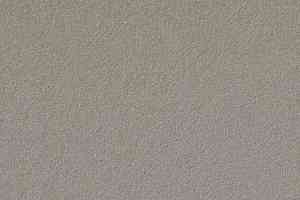Линолеум Forbo Marmoleum Bulletin Board 2182 potato skin фото  | FLOORDEALER