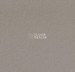 Линолеум Forbo Marmoleum Bulletin Board 2182 potato skin фото 1 | FLOORDEALER