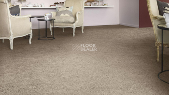 Vorwerk Superior 1041 Vorwerk 8j579 фото 2 | FLOORDEALER